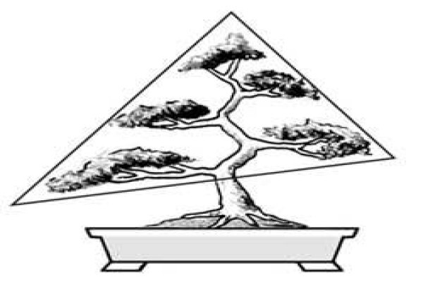 Art Of Bonsai