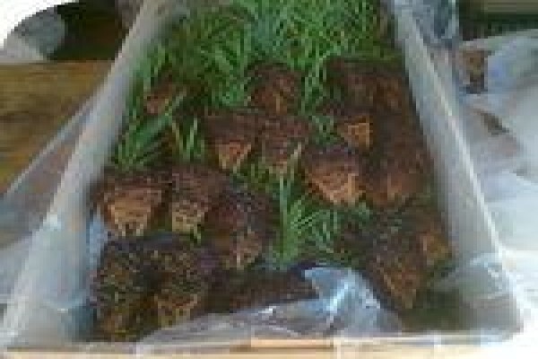Samgro Wholesale Nursery