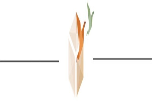 The Assessment Toolbox