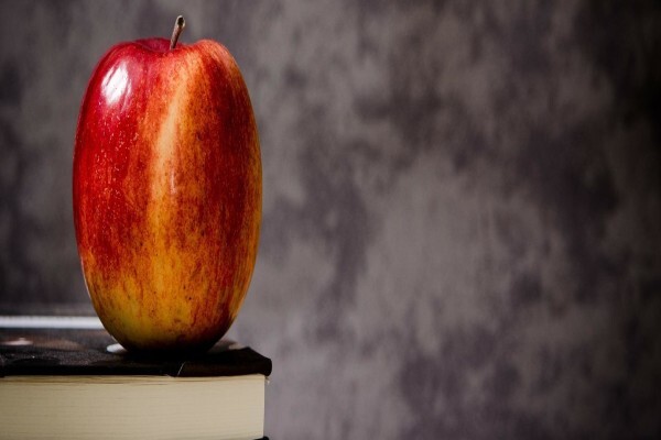 Brain Gain Learning Systems