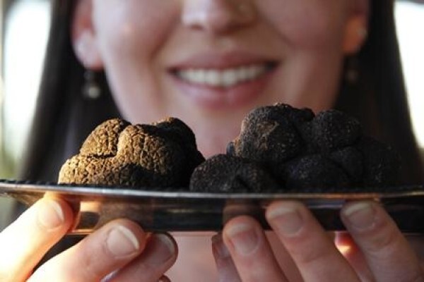 African Truffles