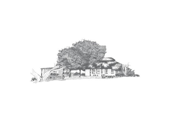 Rosemary Hill