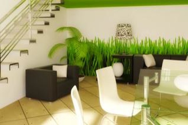 Decor Gurus