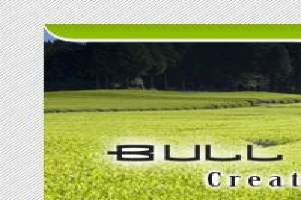 Bull Maurice Trading