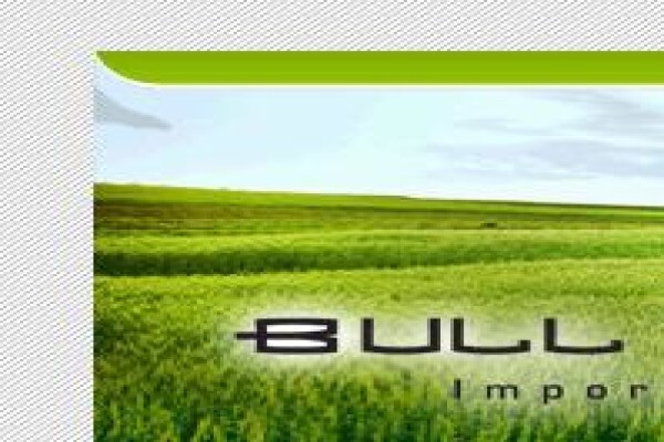 Bull Maurice Trading