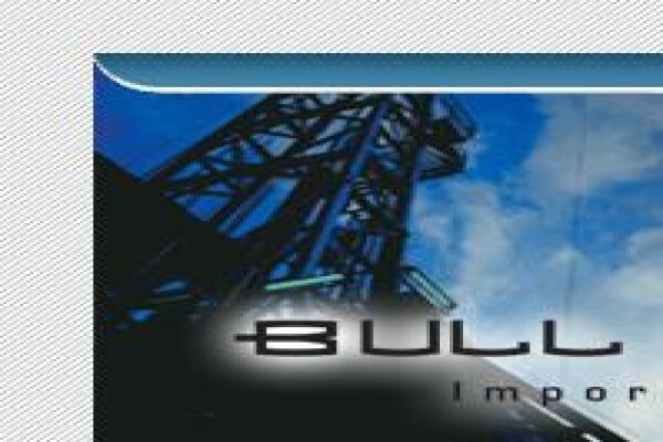 Bull Maurice Trading