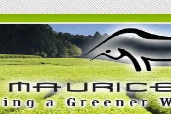Bull Maurice Trading