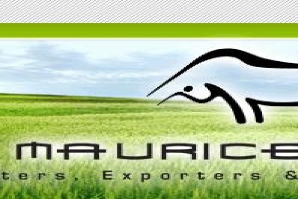 Bull Maurice Trading