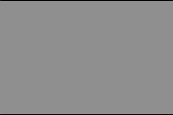 Steam And Valve Specialist