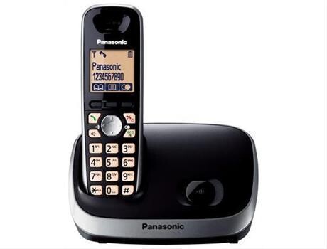 Panasonic Voice Technology