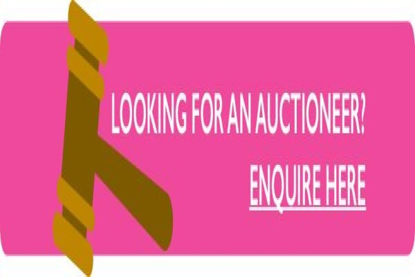 The Auctioneer