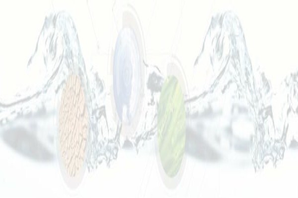 Aquatico