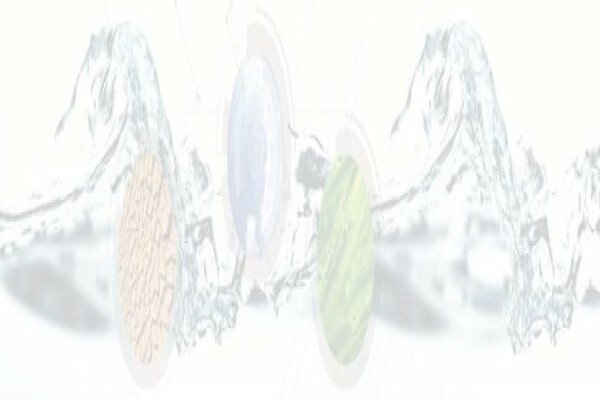 Aquatico