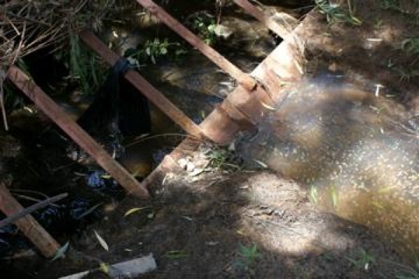 Blue Spot Water Purification