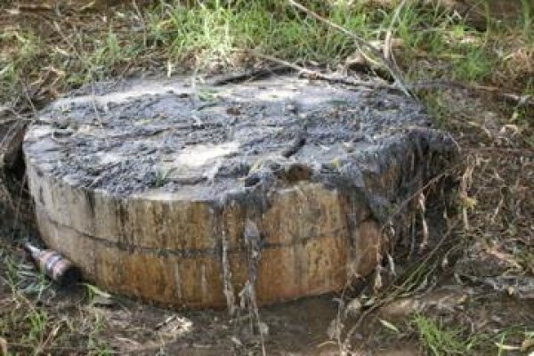 Blue Spot Water Purification
