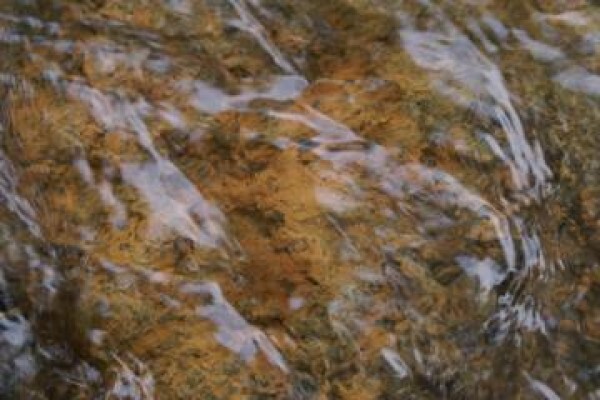 Blue Spot Water Purification