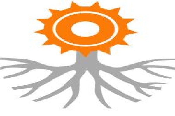 Urchin Design