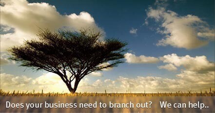 Weaverweb Online Solutions
