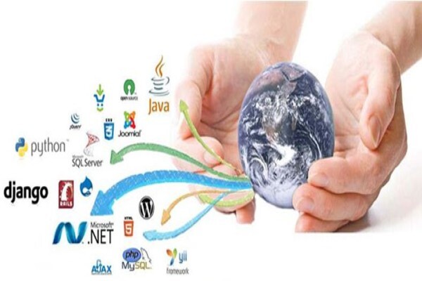 Indigo Vision Software