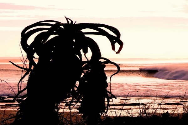 Beach Music
