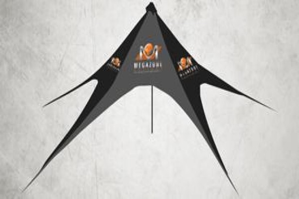 Megazone Designs Website Designs & Development