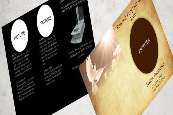 Megazone Designs Website Designs & Development