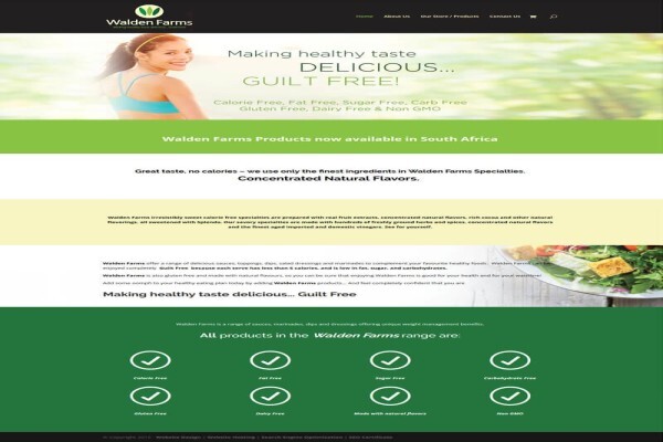 1St Website Design