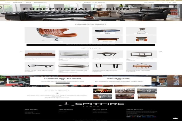 1St Website Design