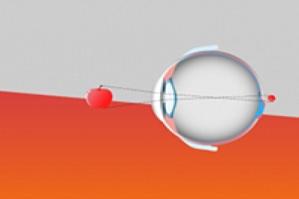 Shamir Optical Industry