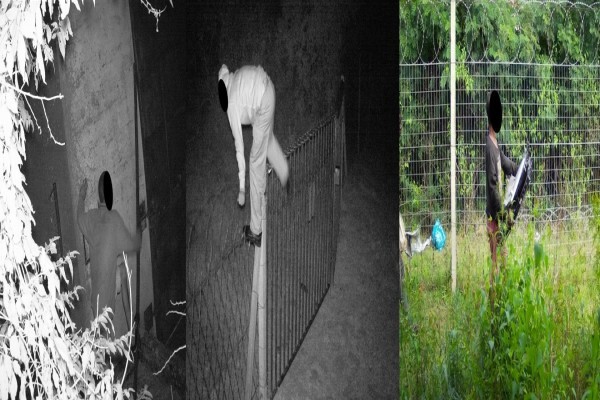 Cameratrap