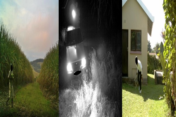 Cameratrap