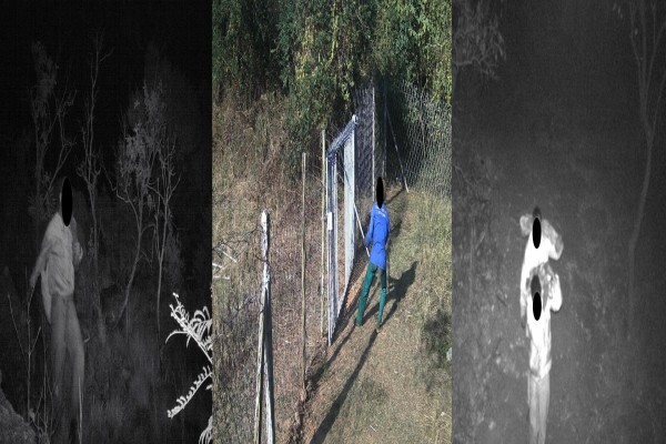 Cameratrap