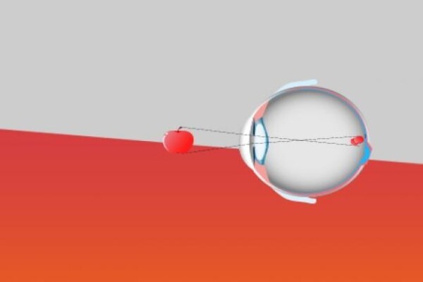 Shamir Optical Industry