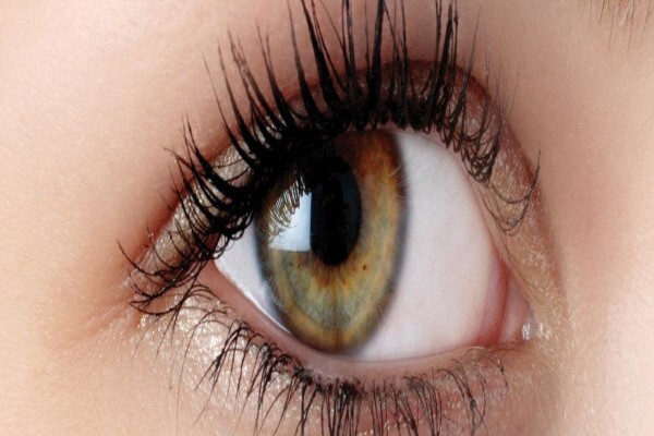 Shamir Optical Industry