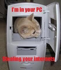Cashit Cc Your It Specialist