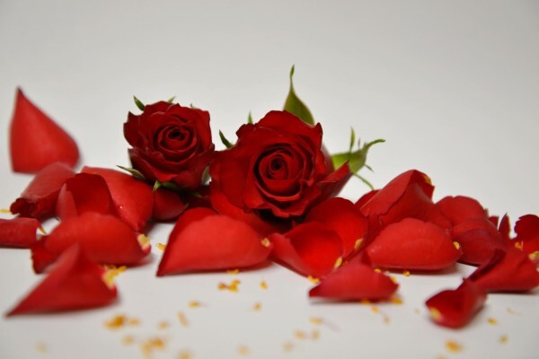 Floflora
