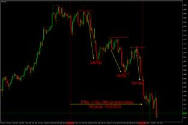Forex College