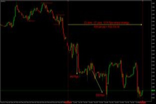 Forex College