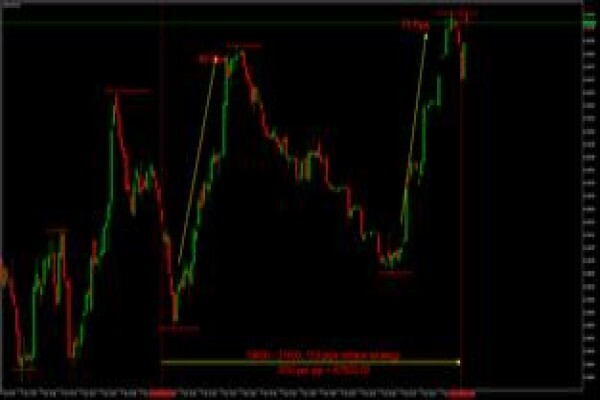 Forex College