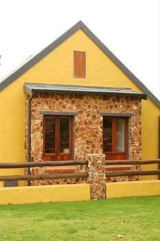 Feature Doors And Windows