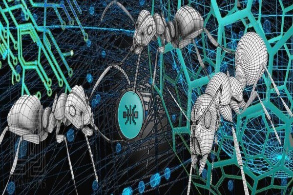 Antfarm
