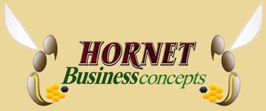 Hornet Business Concepts