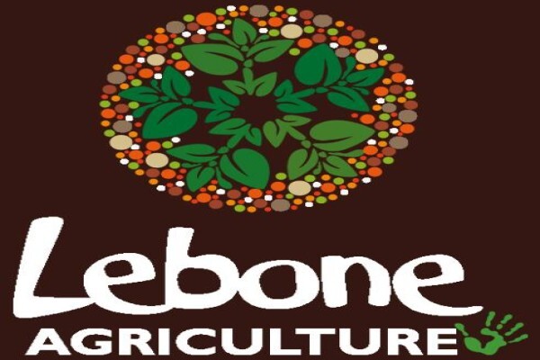 Lebone Village