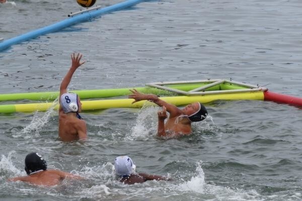 Pelife