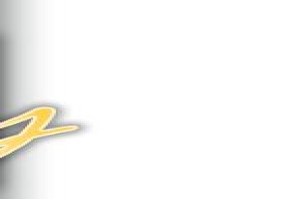 Ryan & Ames Certified Public Accountants
