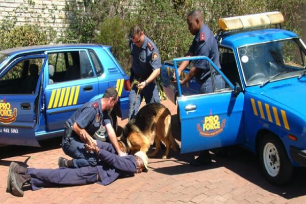 Pro Force Security