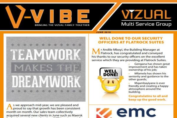 Vizual Security