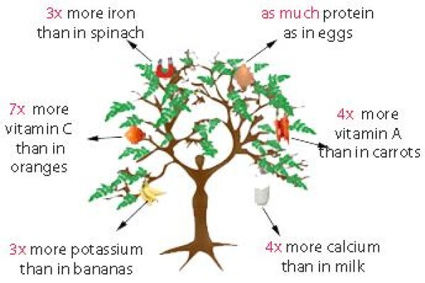 Afrinatural