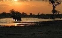 Afrique Escapades
