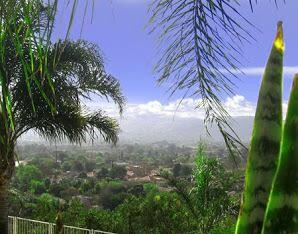 Palmview Guesthouse